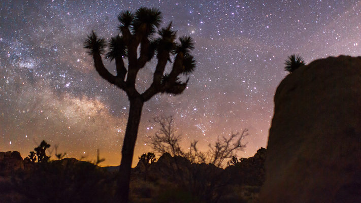 Joshua Tree National Park and the Milky Way - Timelapse