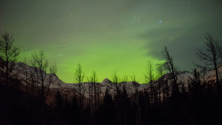Alaska - Boring Aurora
