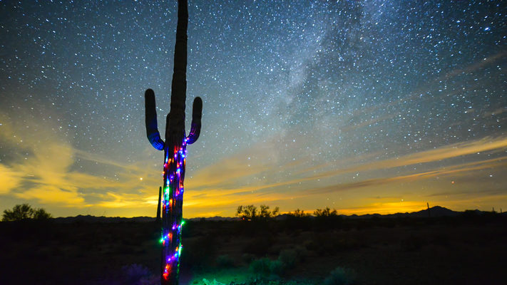 Arizona - Christmas Cactus - Kofa NWR - Milky Way Timelapse