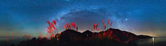 California - Big Sur - Pampas Grass and Milky Way - 360