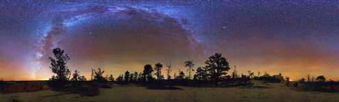 Utah - Bryce Canyon - Trees and Milky Way - 360