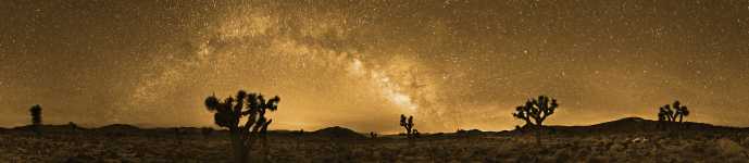 California - Celestial - Joshua Trees - Milky Way - In Saline Valley - Death Valley - 360