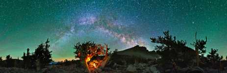 Nevada - Great Basin NP - Milky Way Over an Ancient Bristlecone Pine Forest - Nevada - 360