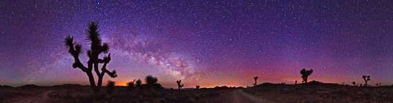 California - Joshua Trees and the Milky Way Down in Saline Valley - Death Valley - 360