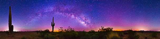 Arizona - Kofa NWR - Saguaro Cacti Under the Milky Way - Stascape - 360