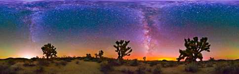 California - Mojave National Preserve - Joshua Trees and Milky Way - 360